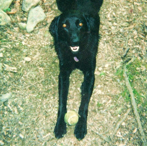 Mark Spaulding Photo 32