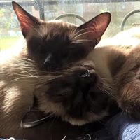 Charles Nix Photo 25