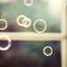 Dung Vo Photo 14