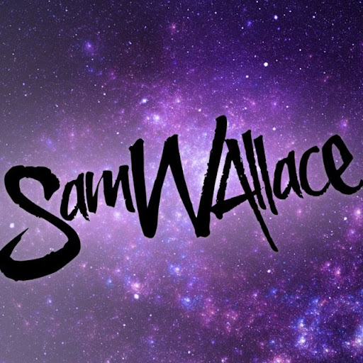 Sam Wallace Photo 7