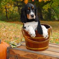 Daniel Pierce Photo 49