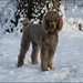 Aimee Barney Photo 8