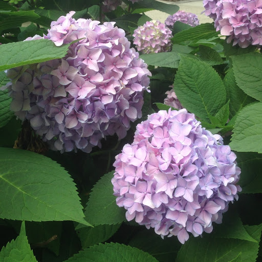 Jane Potter Photo 11