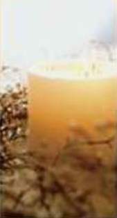 Gale Bailey Photo 23