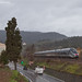Frank Fiorentino Photo 27