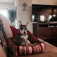 Cindy Posey Photo 16