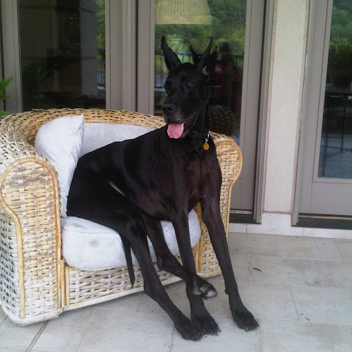 Donald Pearson Photo 30