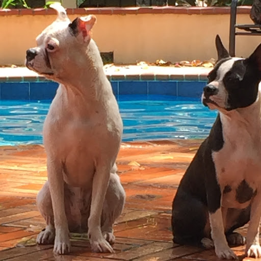 Brian Reynolds Photo 45