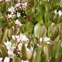 Debbie Gaither Photo 11