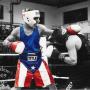 Juan Tavarez Photo 39