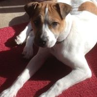 Amanda Worley Photo 33