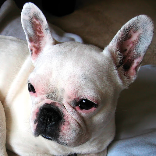 Tiffany Burks Photo 11