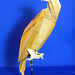 Joseph Hawk Photo 34