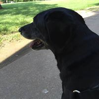 Becky Richard Photo 37