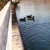 Linda Hawley Photo 23