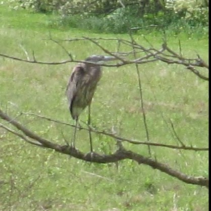 Barbara Stuart Photo 17 Barbara Stuart Photo 17