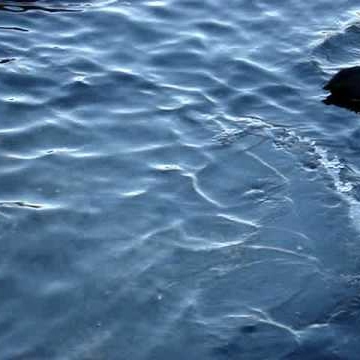 Jeremy Bright Photo 33