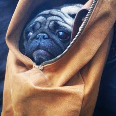 Raymond Garcia Photo 49