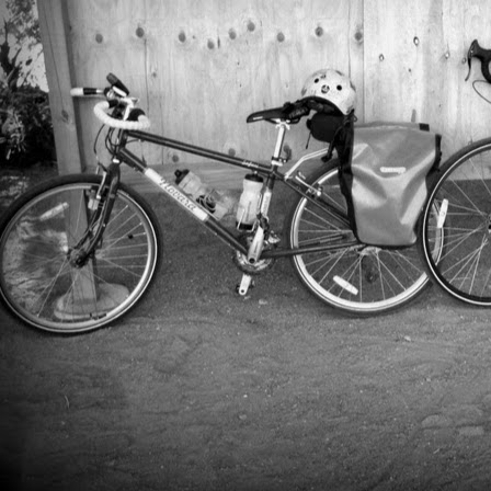 Michele Grady Photo 17