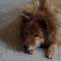 John Buskirk Photo 16