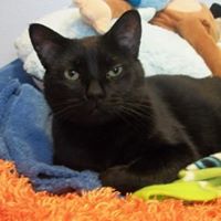 David Labonte Photo 36