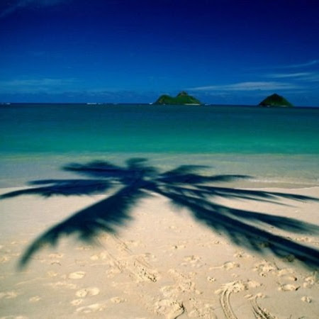 April Anthony Photo 10