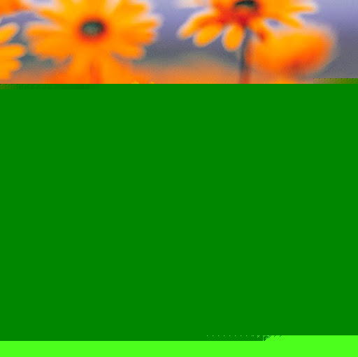 Chelsey Watson Photo 14