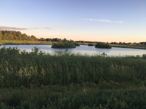 Thomas Gilbert Photo 40