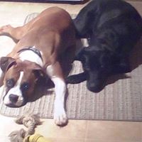 Wendy Larson Photo 41