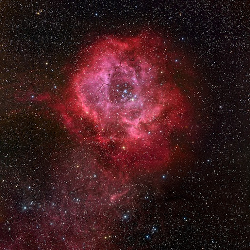 Pamela Wylie Photo 13