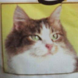 Thomas Boggs Photo 27