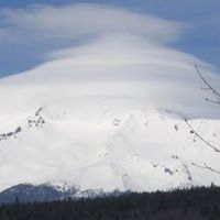 Ann Cunningham Photo 3