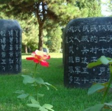 Feng Tian Photo 31