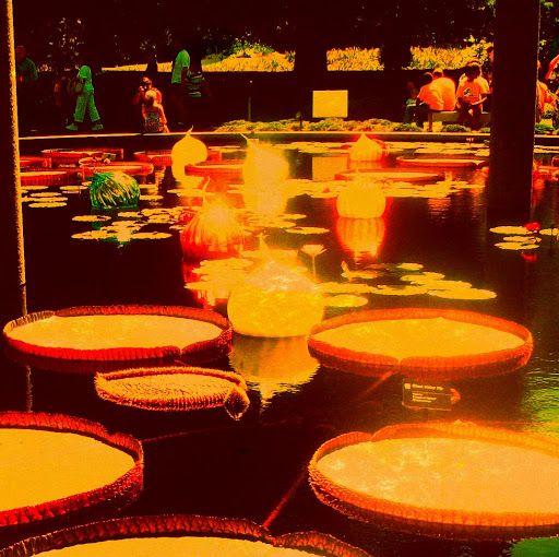 Quintin Brown Photo 44