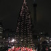 Carol Nelson Photo 32