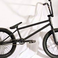 Connor Shaw Photo 12