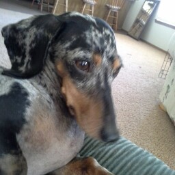 Connie Frazier Photo 26