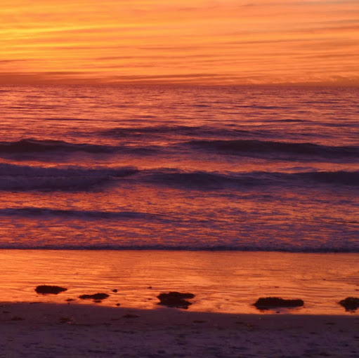 Chris Wiseman Photo 15