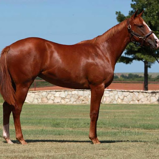 Gerry Horton Photo 6