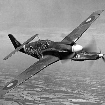 David Mahaffey Photo 11