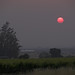 Charlene Sun Photo 9