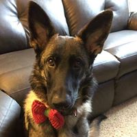 Laurie Welch Photo 12