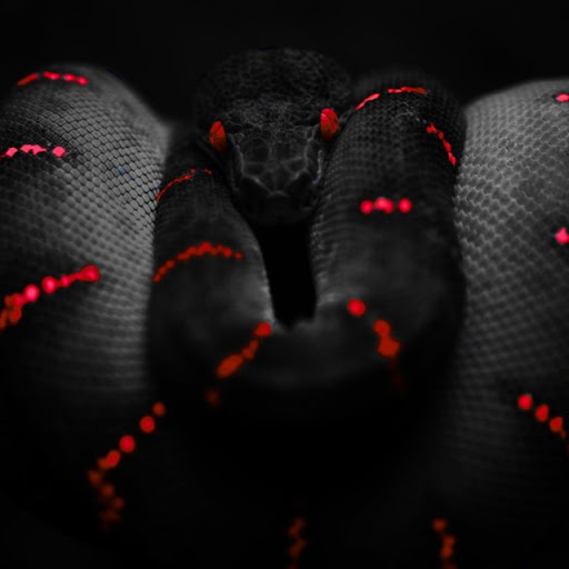 Jason Lafferty Photo 6