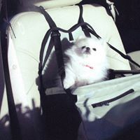 Janice Beard Photo 11