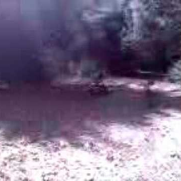 Timothy Mchale Photo 26