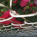 Sharon Link Photo 28