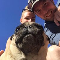 Chris Whatley Photo 39 Chris Whatley Photo 39