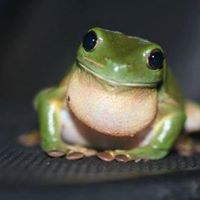 Jennifer Bold Photo 10