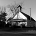 Elizabeth Polk Photo 33