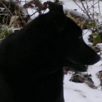 Fred Ratliff Photo 14